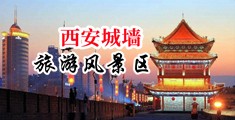 www.操Bwww.啊嗯中国陕西-西安城墙旅游风景区