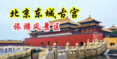黄色视频骚bb中国北京-东城古宫旅游风景区
